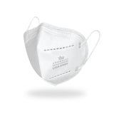 KN95 | 540 Respirators | Case Orders