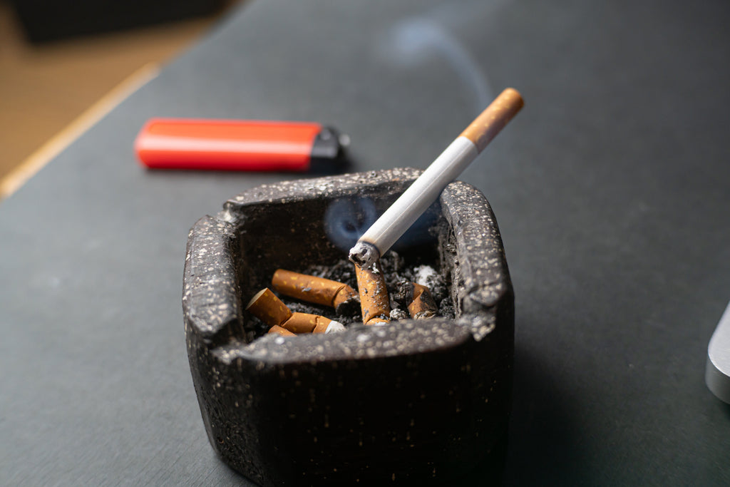vincent van gogh skeleton cigarette Amazon.com: Vincent Van Gogh Skull with Cigarette Skeleton T-Shirt : Clothing, Shoes & Jewelry vincent van gogh skeleton cigarette Amazon.com: Vincent Van Gogh Skull with Cigarette Skeleton T-Shirt : Clothing, Shoes & Jewelry