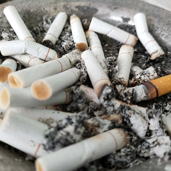will smoking cigarettes make me lose weight Smoking One Cigarette a Day Health Risks will smoking cigarettes make me lose weight Smoking One Cigarette a Day Health Risks