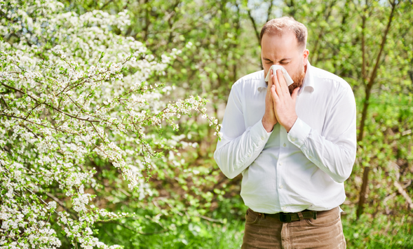 Breathe easy in allergy season